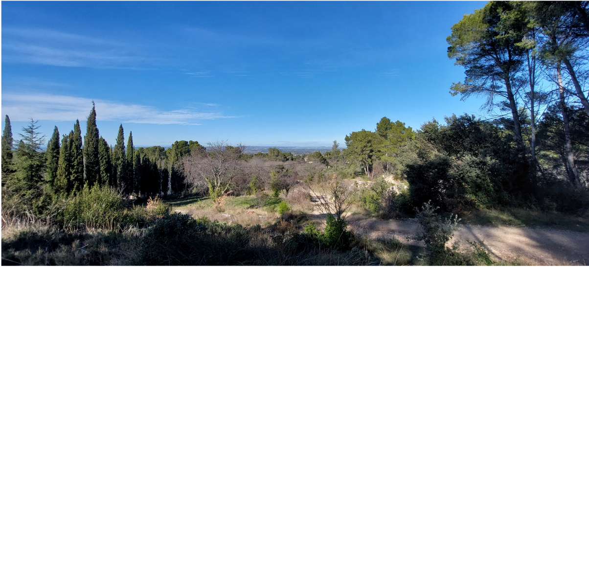 st remy